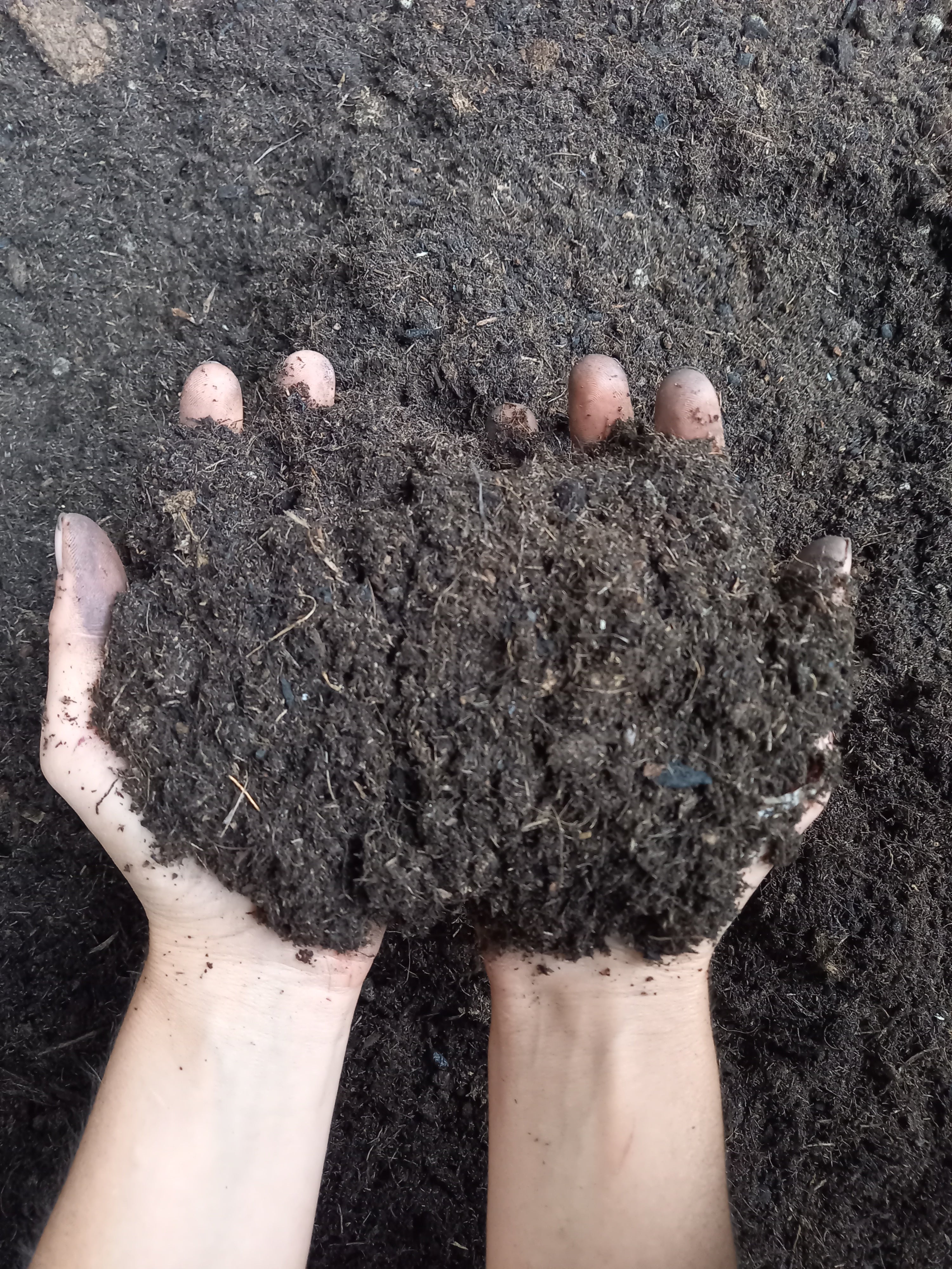 organischer dünger pellets Langzeitdünger für Zimmerpflanzen main image 1