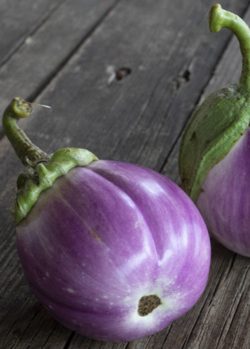 Bio Aubergine 'Lea' - Topfpflanze, Versand ab KW17