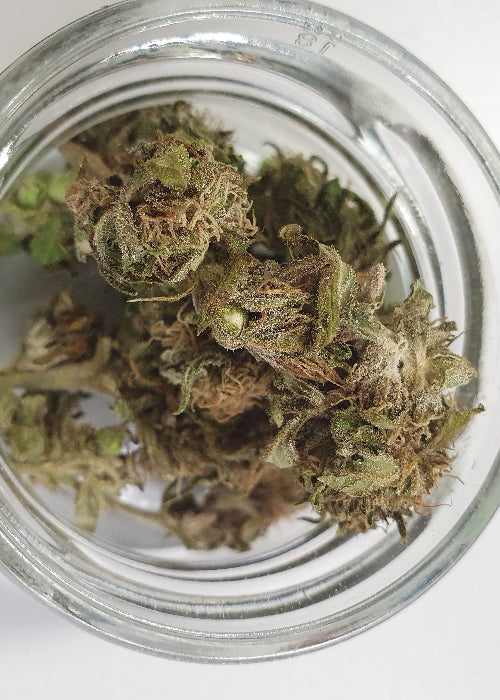 Hanfblüten getrocknet 2g