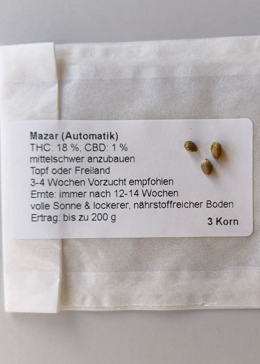 Hanf - Samen "Mazar (Automatik)"