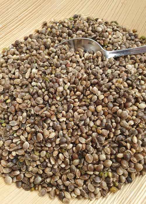 Bio-Hanfsamen (ungeschält) aus eigenem Anbau, 500g