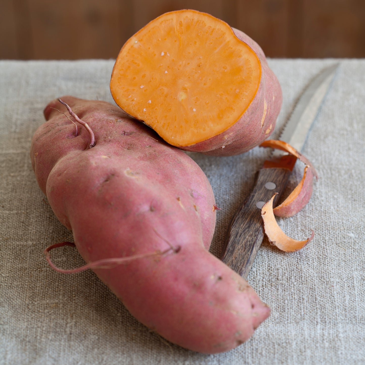 Bio Süßkartoffel Early Orange' (Ipomoea batatas) – Topfpflanze, Versand ab KW17