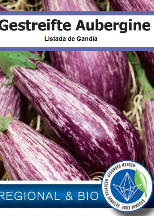 Bio Aubergine 'Listada de Gandia' - Topfpflanze, Versand ab KW17