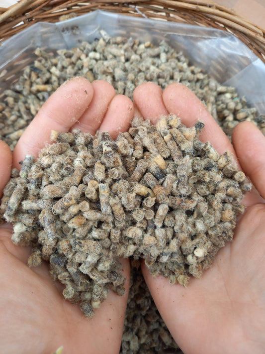 Schafwolle Pellets - Dünger 1kg