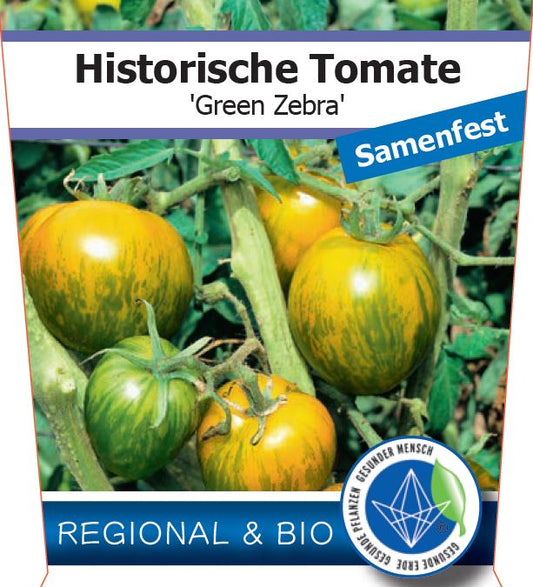 Bio Tomate 'Green Zebra' (Solanum lycopersicum) - Topfpflanze, Versand ab KW17