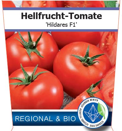 Bio Tomate 'Hildares' (Solanum lycopersicum) - Topfpflanze Versand ab KW17
