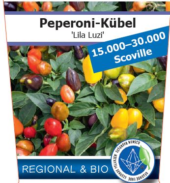 Bio Peperoni 'Lila Luzi' (Capsicum annuum) – Topfpflanze, Versand ab KW17
