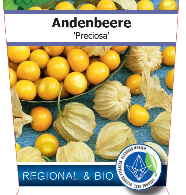 Bio Physalis 'Preciosa' (Physalis peruviana) – Topfpflanze, Versand ab KW17