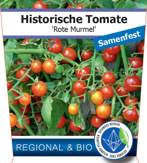 Bio Tomate 'Rote Murmel' (Solanum lycopersicum) - Topfpflanze, Versand ab KW17