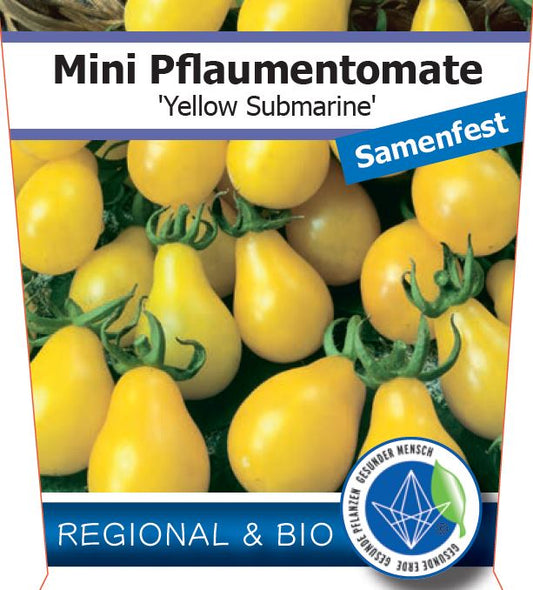 Bio Tomate 'Yellow Submarine' (Solanum lycopersicum) - Topfpflanze, , Versand ab KW17