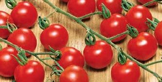 Cocktail- und Kirschtomaten