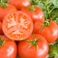 Bio Tomate 'Berner Rose' (Solanum lycopersicum) - Topfpflanze, Versand ab KW17