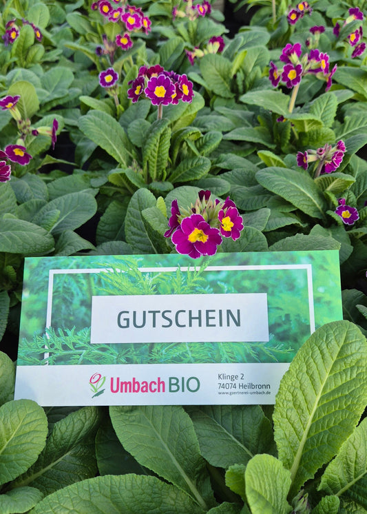 Gutschein für die Verkaufsstellen