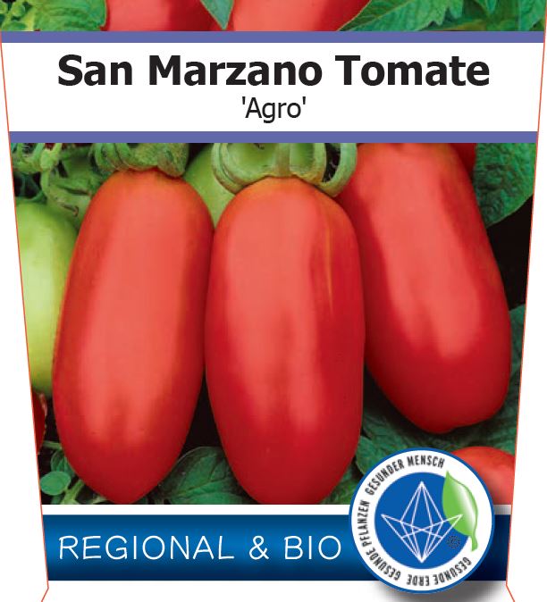 Bio Tomate 'Agro' (Solanum lycopersicum) - Topfpflanze, Versand ab KW17