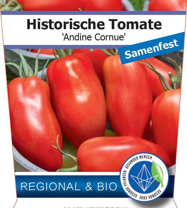 Bio Tomate 'Andine Cornue' (Solanum lycopersicum) - Topfpflanze Versand ab KW17