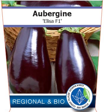 Bio Aubergine 'Elisa' - Topfpflanze, Versand ab KW17