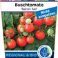 Bio Tomate 'Balconi Red' (Solanum lycopersicum) - Topfpflanze, Versand ab KW17
