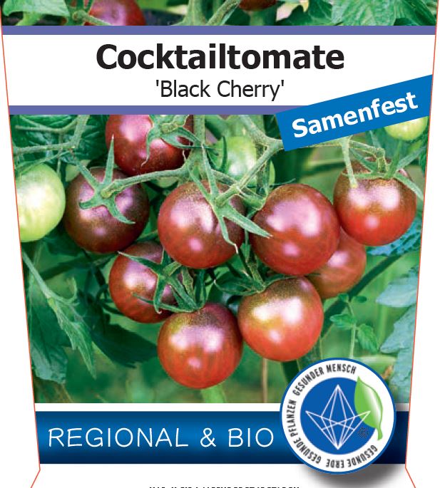 Bio Tomate 'Black Cherry' (Solanum lycopersicum) - Topfpflanze, Versand ab KW17