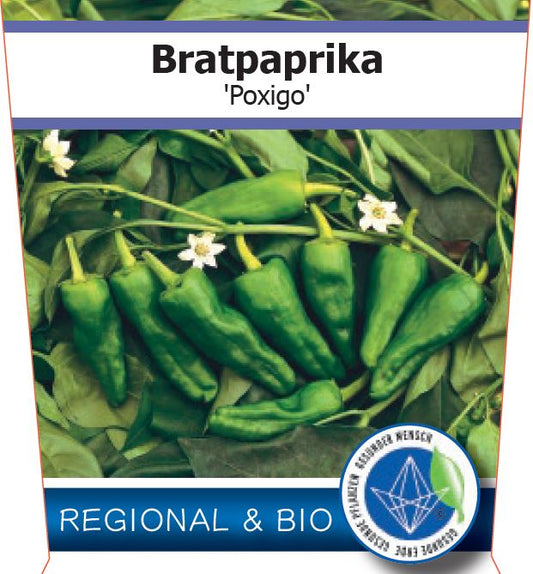 Bio Bratpaprika 'Poxigo' (Capsicum annuum) – Topfpflanze, Versand ab KW17