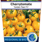 Bio Cherrytomate 'Golden Pearl' (Solanum lycopersicum) - Topfpflanze, Versand ab KW17