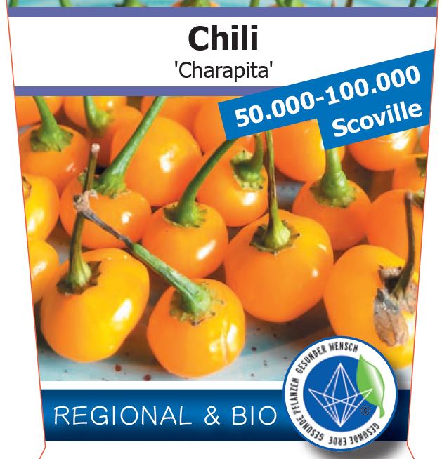 Bio Chili 'Charapita' (Capsicum chinense) - Topfpflanze, Versand ab KW17