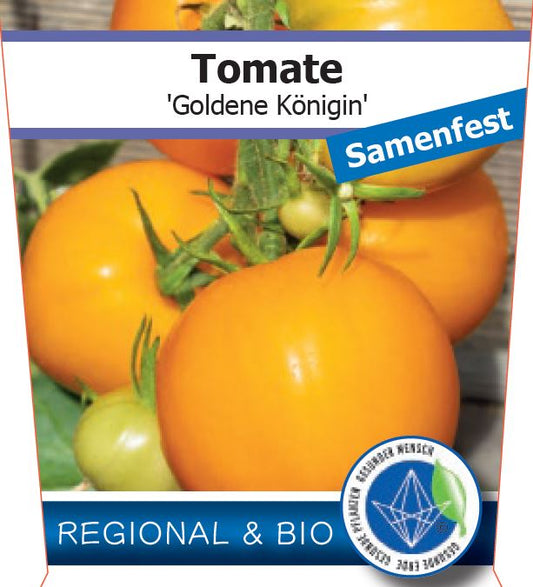Bio Tomate 'Goldene Königin' (Solanum lycopersicum) - Topfpflanze, Versand ab KW17