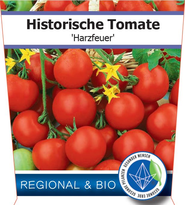 Bio Tomate 'Harzfeuer' (Solanum lycopersicum) - Topfpflanze, Versand ab KW17