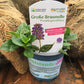 Bio Große Braunelle (Prunella grandiflora) - Topfpflanze