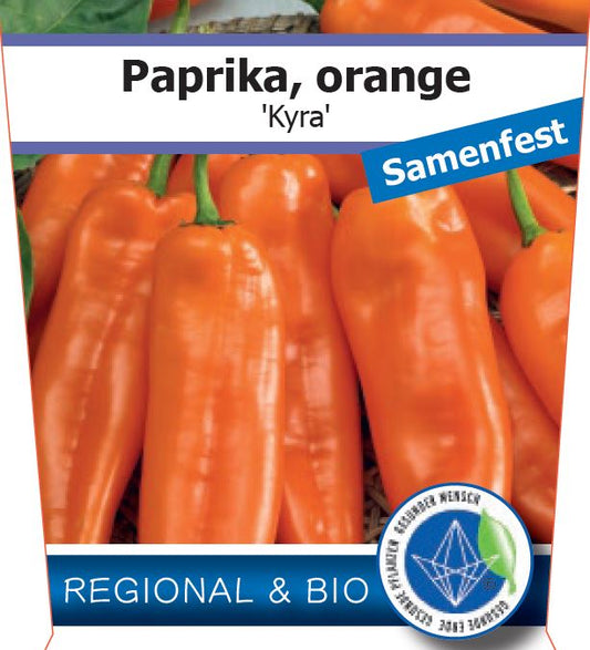 Bio Paprika 'Kyra' (Capsicum annuum) – Topfpflanze, Versand ab KW17