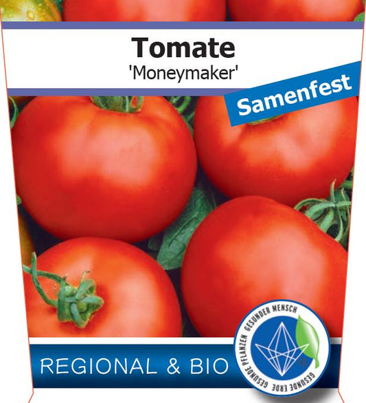 Bio Tomate 'Moneymaker' (Solanum lycopersicum) - Topfpflanze, Versand ab KW17