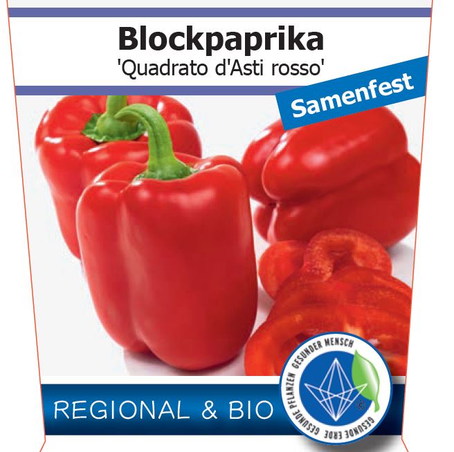 Bio Paprika 'Quadrato d'Asti rosso' (Capsicum annuum) – Topfpflanze, Versand ab KW17