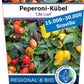Bio Peperoni 'Lila Luzi' (Capsicum annuum) – Topfpflanze, Versand ab KW17