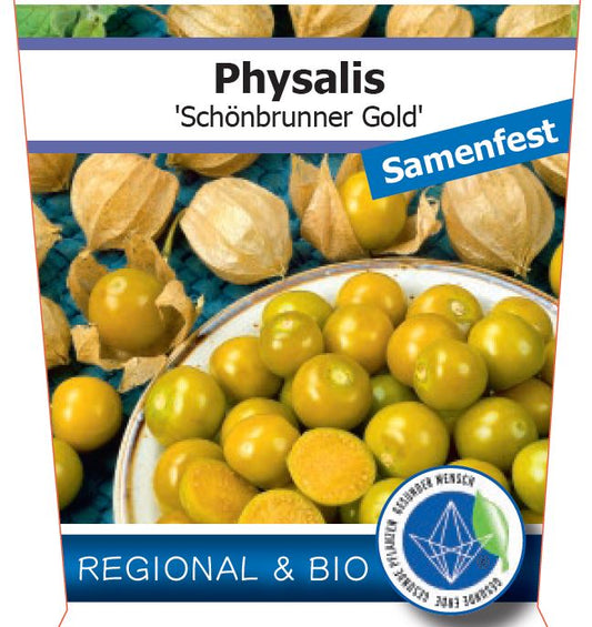 Bio Physalis 'Schönbrunner Gold' (Physalis peruviana) – Topfpflanze, Versand ab KW17