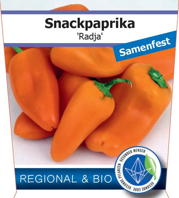 Bio Paprika 'Radja' (Capsicum annuum) – Topfpflanze, Versand ab KW17