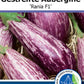 Bio Aubergine 'Rania ' - Topfpflanze, Versand ab KW17