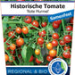 Bio Tomate 'Rote Murmel' (Solanum lycopersicum) - Topfpflanze, Versand ab KW17
