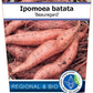 Bio Ipomoea batatas 'Beauregard' (Ipomoea batatas) – Topfpflanze, Versand ab KW17