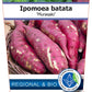 Bio Ipomoea batatas 'Murasaki' (Ipomoea batatas) – Topfpflanze, Versand ab KW17